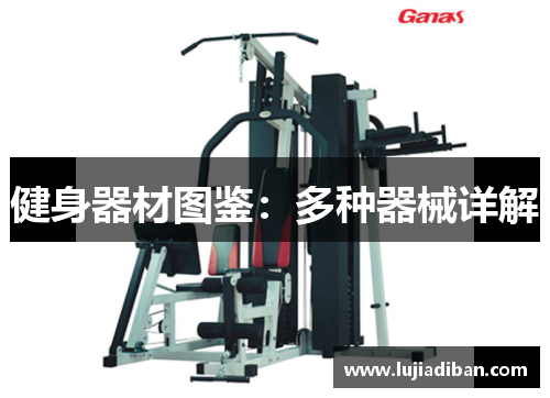 健身器材图鉴：多种器械详解